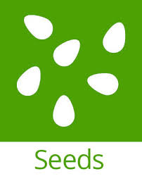SEEDS